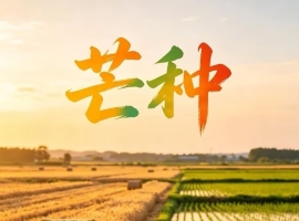 【芸竹诗歌】芒种