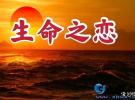 【徐东风诗歌】生命之恋
