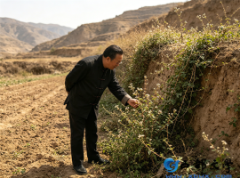 【洛沙随笔】跟上姚选富识百草之二百四十：茜草拾遗