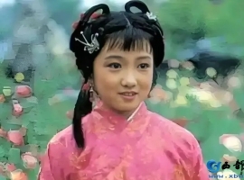 【徐东风诗歌】金陵十二钗之贾巧姐