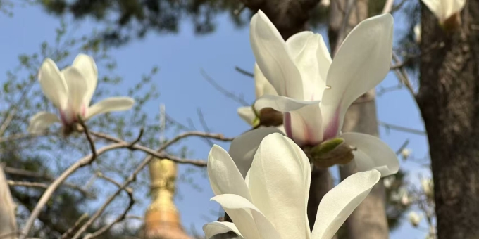 【秋枫练笔】 秋枫练笔 四篇