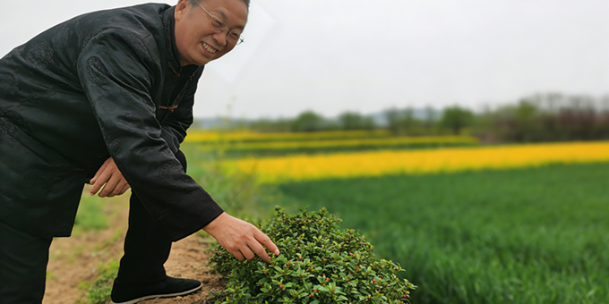 【洛沙随笔】跟上姚选富识百草之百三十二：田埂识草记