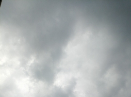 【龙竹武诗词】暑夏