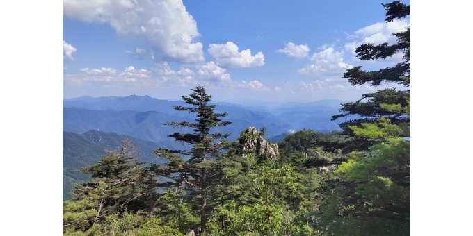 【龙竹武诗词】山河记忆