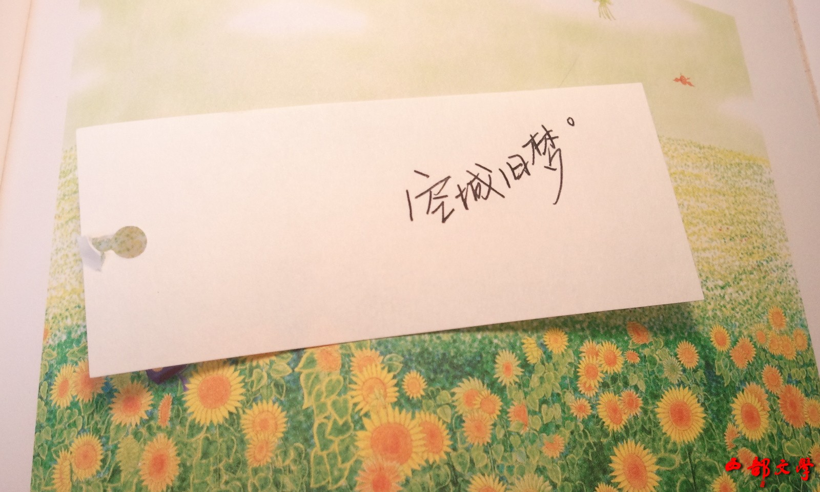 20120422222415_zxW8U.jpeg
