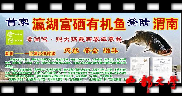 瀛湖富硒有机鱼登陆渭南 粥火锅 (1).jpg
