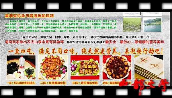 瀛湖富硒有机鱼登陆渭南 粥火锅 (2).jpg