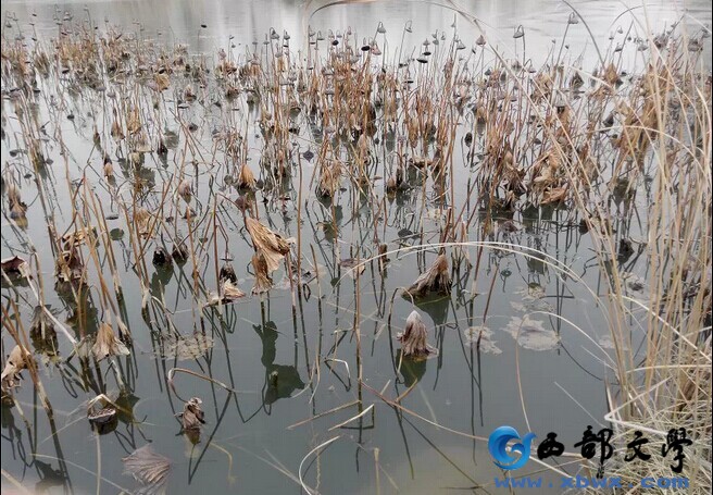 QQ图片20150102152813.jpg