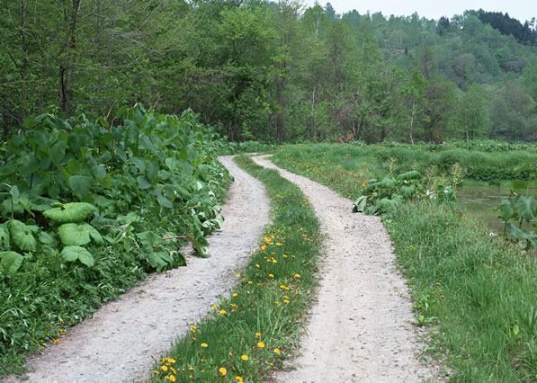 13020085.jpg
