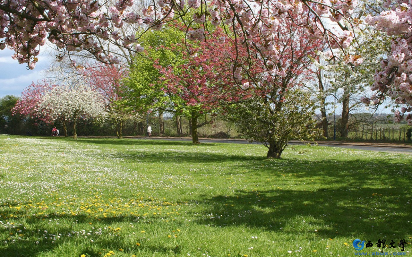 121desk_spring_wallpaper_2-0-24-1440x900.jpg