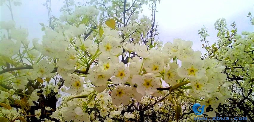 psb (21)_副本.jpg