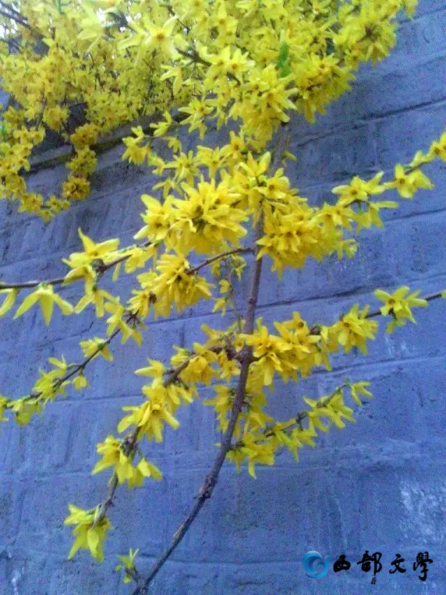 psb (25)_副本.jpg