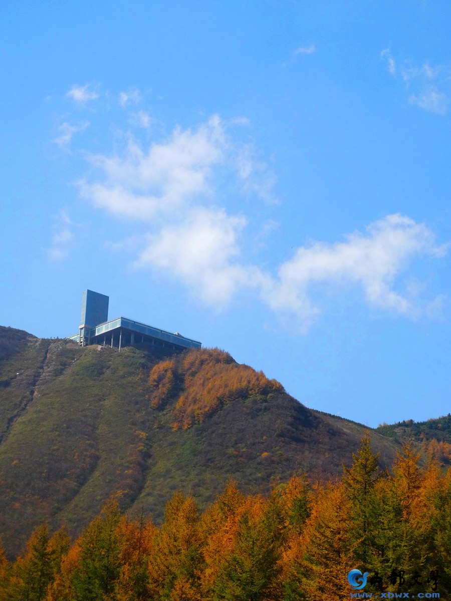 风景独好9