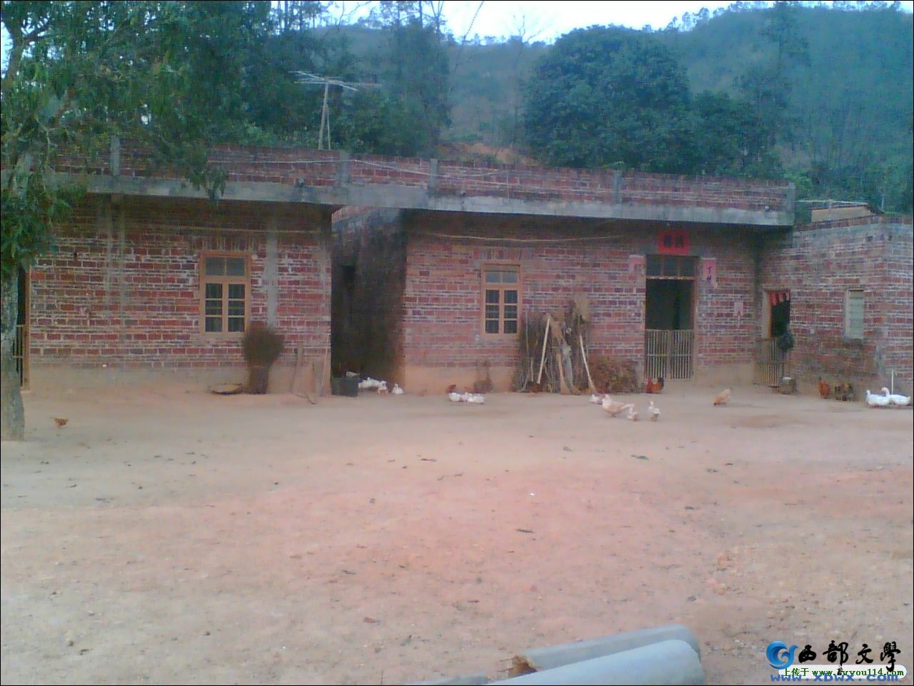 200737201144.jpg
