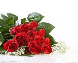 t013b21c4680b613d78[1].jpg