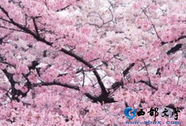 QQ截图20150414114916.png