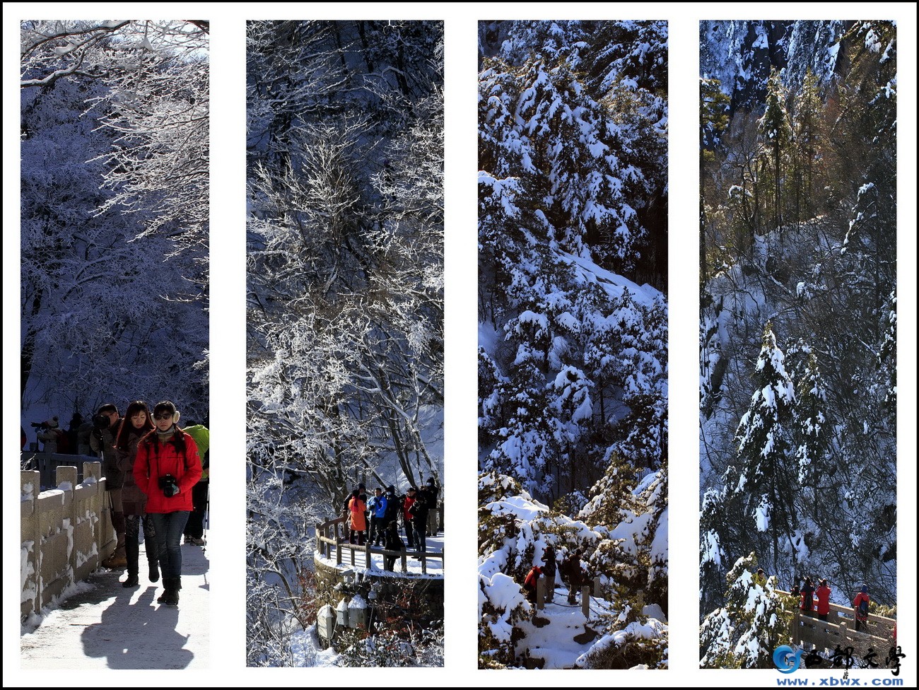 黄山瑞雪