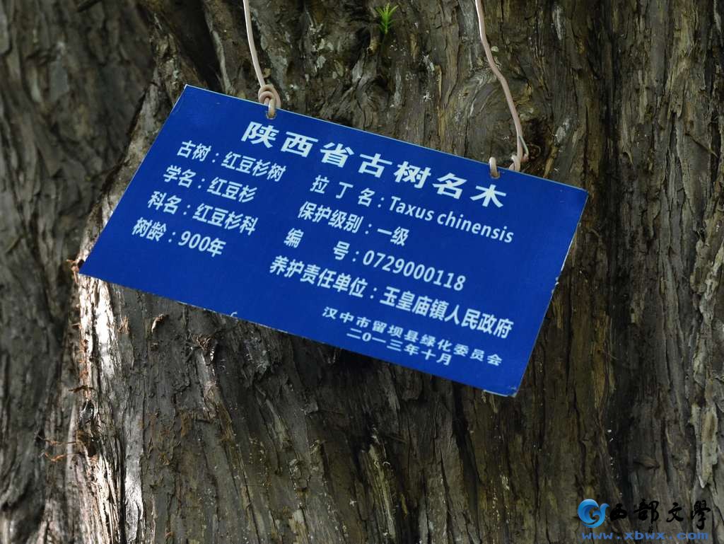 nEO_IMG_DSC_6458.jpg