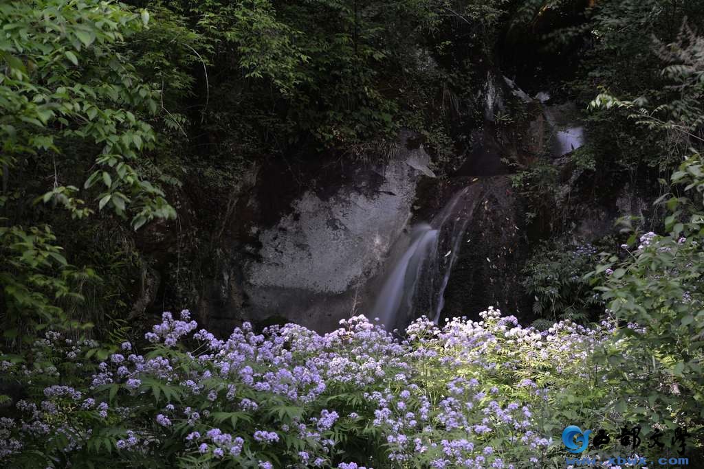 nEO_IMG_DSC_6495.jpg