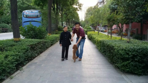 陪母亲散步