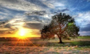 t01cb9c5835a1aadb49.jpg