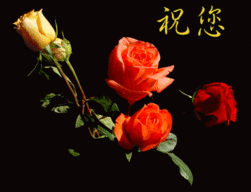 t01052f90e0d768e51a.gif