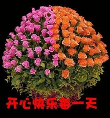 t018e1d3a31cad76c6c.jpg