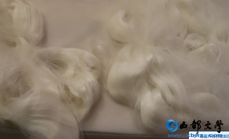 W55%T1[`Q0`](Q1%YX7TBQS.jpg
