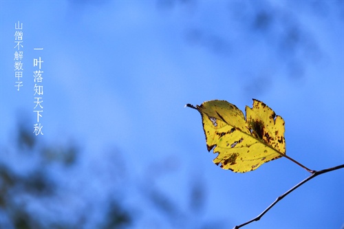 84f7d65b-f731-4cad-879c-37a2f509.jpg