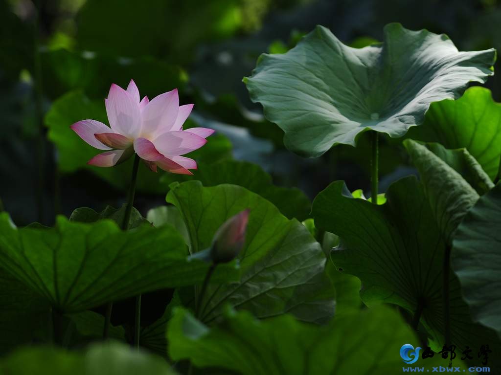 nEO_IMG_DSC_3183.jpg