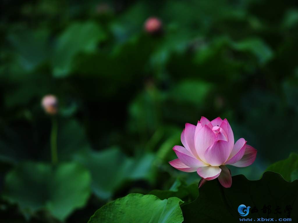 nEO_IMG_DSC_3248.jpg