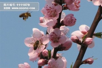 t017bdba9769c824f73.jpg