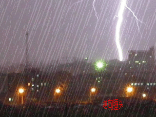 t01048d44aa22f90341.gif