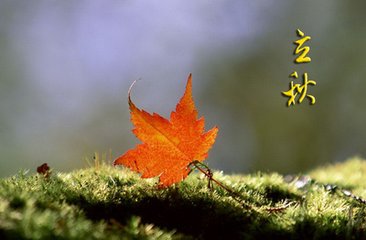 t010feb2b4731942e6d.jpg
