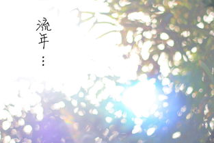 4ae2bb548dd6164f-b42cda7512b9a94a-bbb40e99d2d6eced6476128d5b85f1b8.jpg