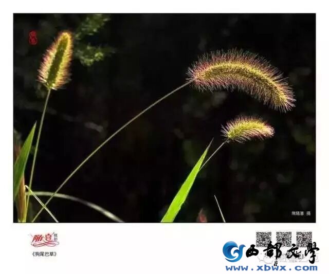 QQ图片20150921143638.jpg