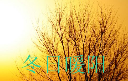 别样的风景.jpg