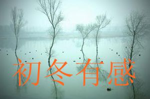 初冬.jpg