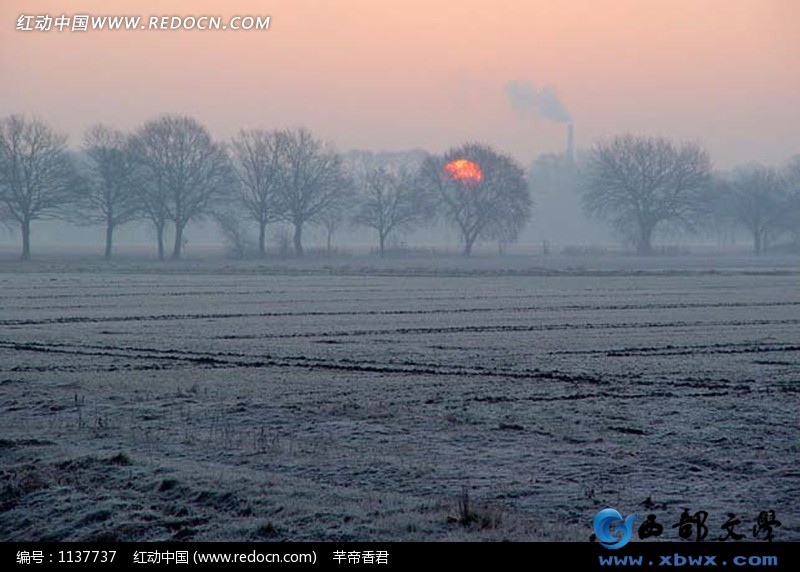 Redocn_2012042404090891.jpg