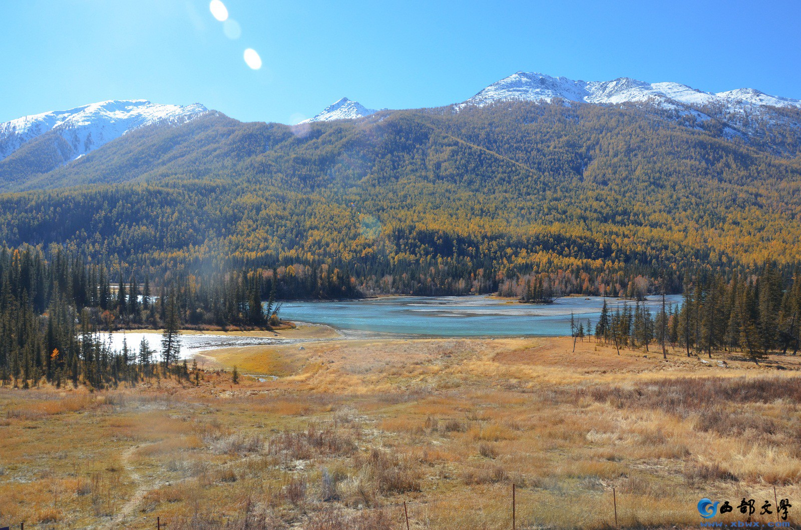 DSC_0474.JPG