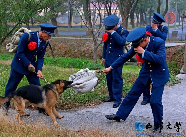 QQ图片20151215211600.jpg