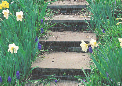 t010bfff36b815b7d40.gif