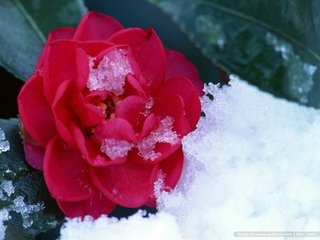 t01994f895cd8d74d1b.jpg