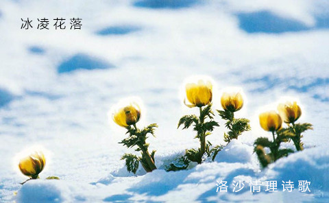 5_副本.jpg