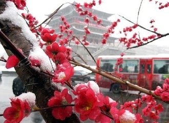 t0192adeae22c0e947e.jpg