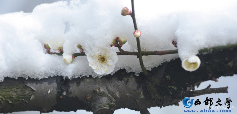 20140213133331IZH.jpg