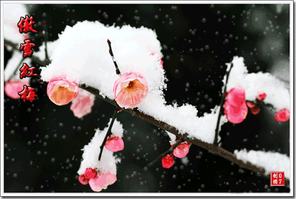 65efc494bc20932f7af4800a.gif