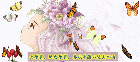 蝶.gif