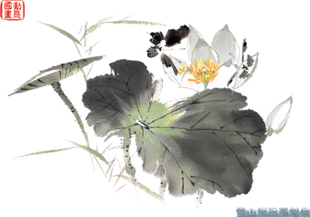 荷 蝶.gif
