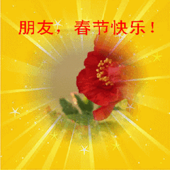 t01618ef83987c4e456.gif